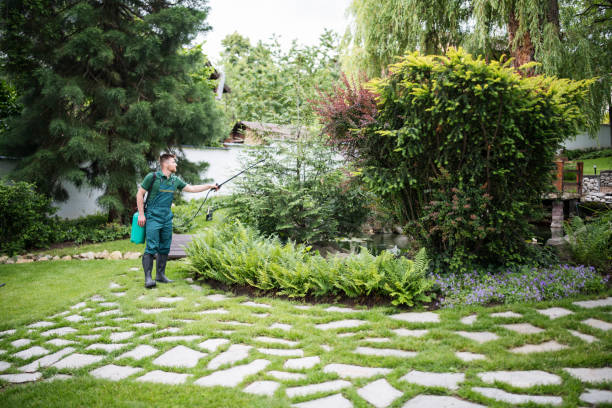 Best Pest Control Cost  in Bridgeport, AL
