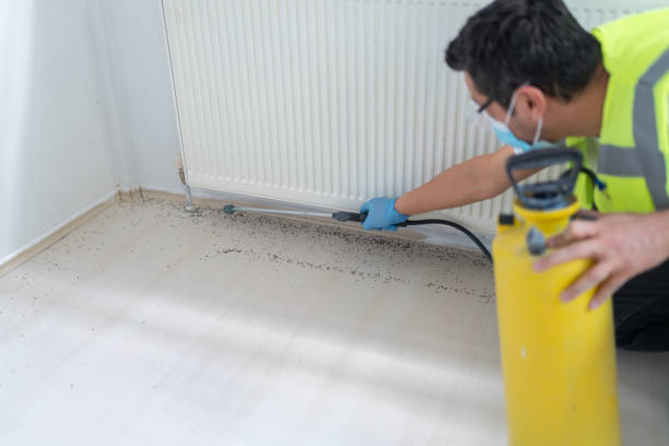 Best Termite Control Services  in Bridgeport, AL